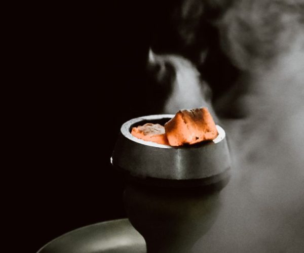 Изображение WhatsApp 2024-05-27 в 15.19.22_a84a3bc0